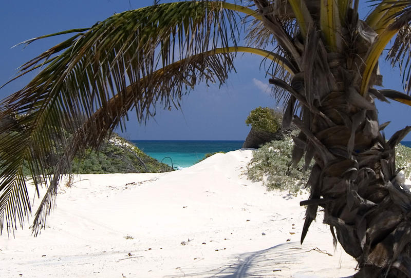 Clean white sand and blue ocean, near punta allen, Mexico